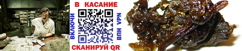 Купить закладку Конопля  АМФЕТАМИН  ГАШИШ  Мефедрон  Alpha-PVP  Кинешма