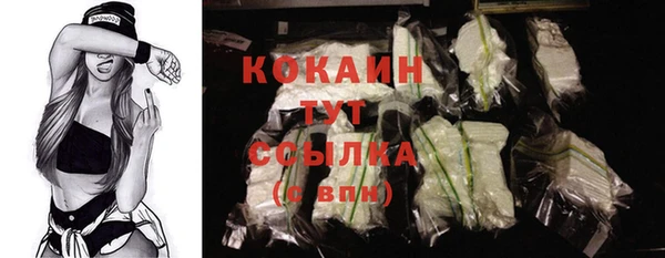 ГАЛЛЮЦИНОГЕННЫЕ ГРИБЫ Каменка