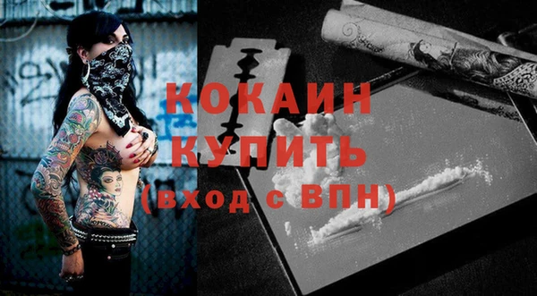 ГАЛЛЮЦИНОГЕННЫЕ ГРИБЫ Каменка