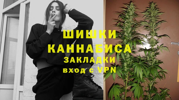 спиды Инта