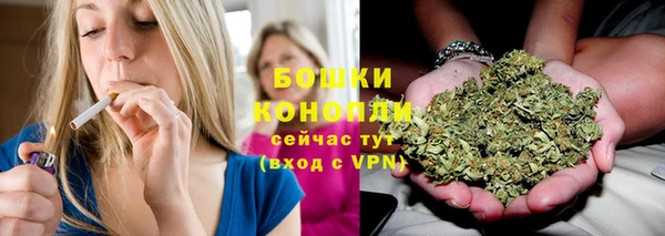 ГАЛЛЮЦИНОГЕННЫЕ ГРИБЫ Каменка
