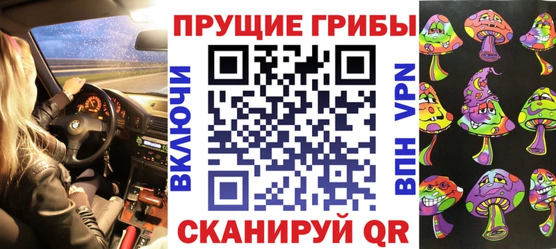 Псилоцибиновые грибы Psilocybe  Купить  Кинешма 